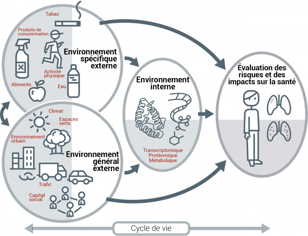 Concept d'Exposome